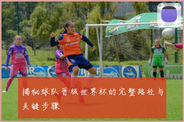 揭秘球队晋级世界杯的完整路径与关键步骤
