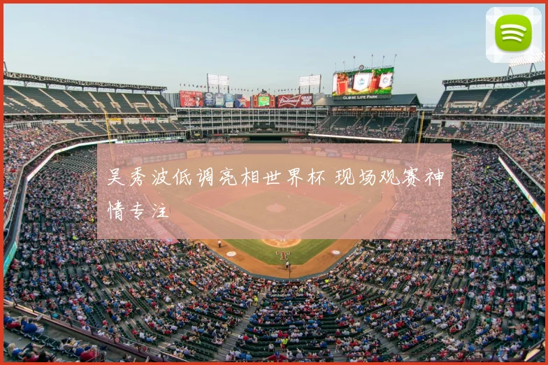 吴秀波低调亮相世界杯 现场观赛神情专注